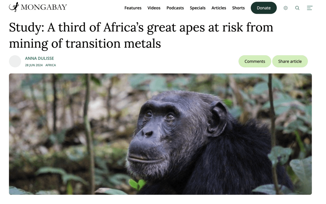 Mongabay